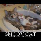 Smoov Cat