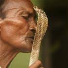 Snake Kisser