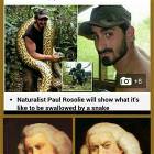 Snake Proof