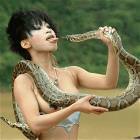 Snake Tease