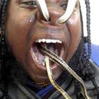 Snakes