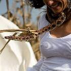 Snakes And Nipples