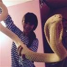 Snakes Picdump 2