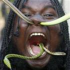 Snakes
