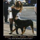 Sniff Sniff Sniff