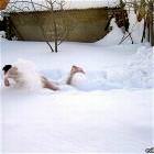 Snow Speed Swimmer
