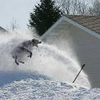 Snowblower Dog