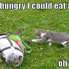 So Hungry