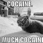 So Much