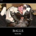 So Silly