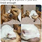 So Tired