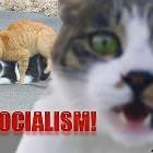 Socialism