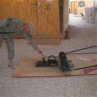 Soldier Trap