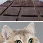 Some Chocolate