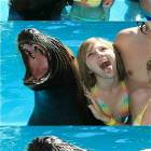 Some Face Swapping