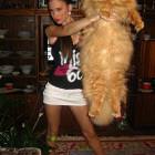 Some Huge Cat