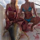 Some Serious Fishing