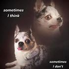 Sometimes I Do Not
