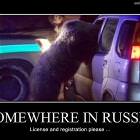 Somewhere In Russia