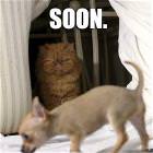 Soon