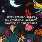 Sorry Officer