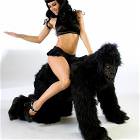 Spank The Monkey