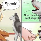 Speak