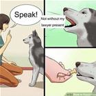 Speak