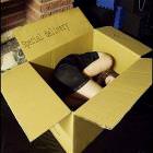 Special Delivery