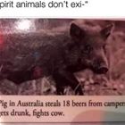 Spirit Animal