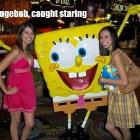 Spongebob Caught