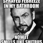 Sprayed Some Febreeze