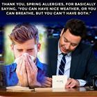 Spring Allergies