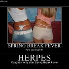 Spring Break Fever