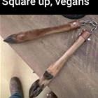 Square Up