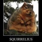 Squirreleius Amercanus