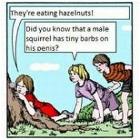 Squirrels
