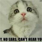 Sry Cant Hear You