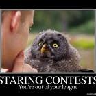 Staring Contest