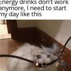 Start Your Day Right