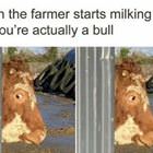 Starts Milking You