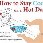 Stay Cool On A Hot Day