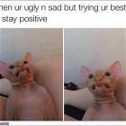 Stay Positive