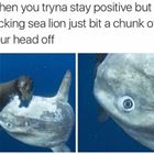 Staying Positive