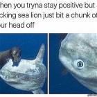Staying Positive