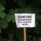 Stealing Plants