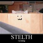 Stealth