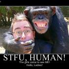 Stfu Human