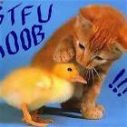 Stfu Noob