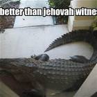 Still Better